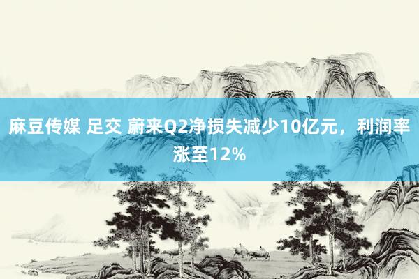 麻豆传媒 足交 蔚来Q2净损失减少10亿元，利润率涨至12%