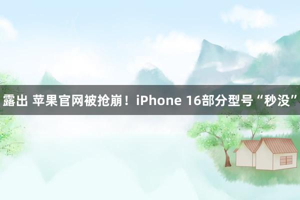 露出 苹果官网被抢崩！iPhone 16部分型号“秒没”