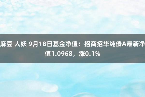 麻豆 人妖 9月18日基金净值：招商招华纯债A最新净值1.0968，涨0.1%