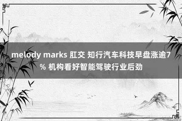 melody marks 肛交 知行汽车科技早盘涨逾7% 机构看好智能驾驶行业后劲