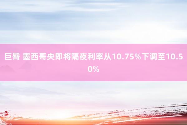 巨臀 墨西哥央即将隔夜利率从10.75%下调至10.50%