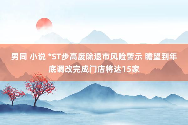 男同 小说 *ST步高废除退市风险警示 瞻望到年底调改完成门店将达15家