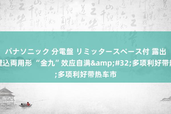 パナソニック 分電盤 リミッタースペース付 露出・半埋込両用形 “金九”效应自满&#32;多项利好带热车市