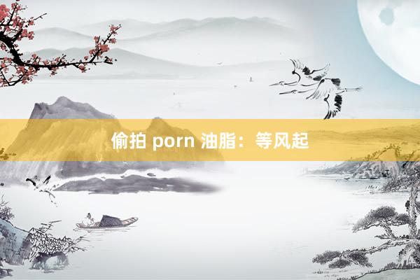 偷拍 porn 油脂：等风起