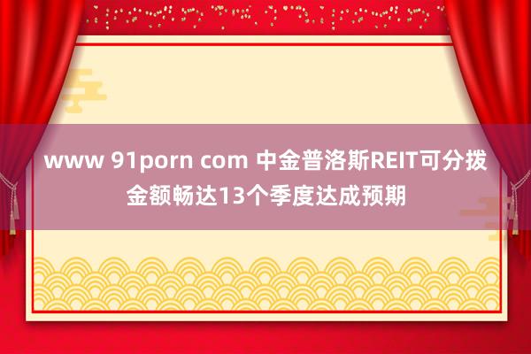 www 91porn com 中金普洛斯REIT可分拨金额畅达13个季度达成预期