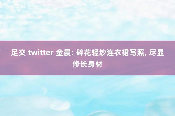 足交 twitter 金晨: 碎花轻纱连衣裙写照， 尽显修长身材