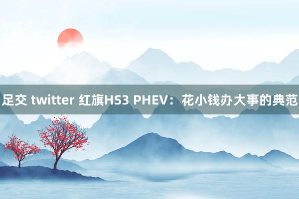 足交 twitter 红旗HS3 PHEV：花小钱办大事的典范