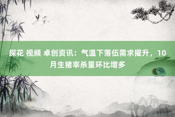 探花 视频 卓创资讯：气温下落伍需求擢升，10月生猪宰杀量环比增多