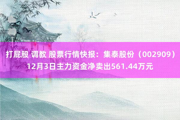 打屁股 调教 股票行情快报：集泰股份（002909）12月3日主力资金净卖出561.44万元