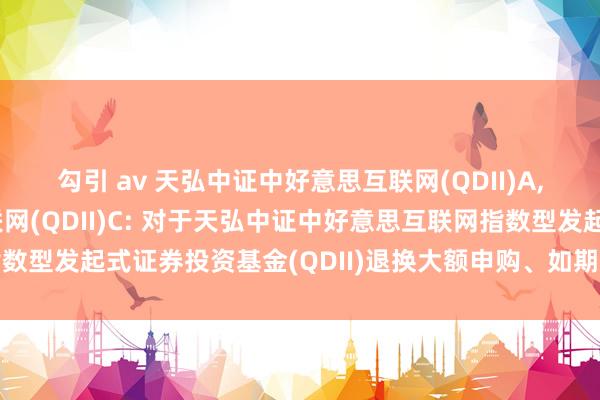 勾引 av 天弘中证中好意思互联网(QDII)A，天弘中证中好意思互联网(QDII)C: 对于天弘中证中好意思互联网指数型发起式证券投资基金(QDII)退换大额申购、如期定额投资业务的公告