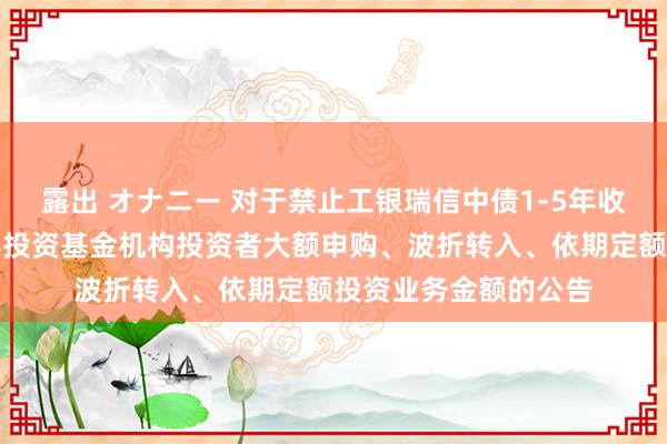 露出 オナニー 对于禁止工银瑞信中债1-5年收支口行债券指数证券投资基金机构投资者大额申购、波折转入、依期定额投资业务金额的公告