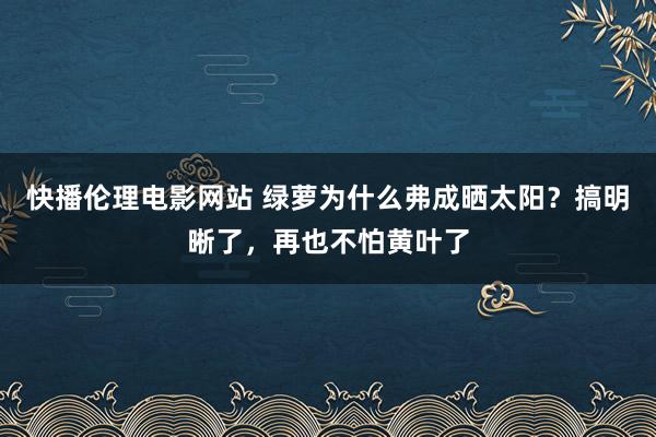 快播伦理电影网站 绿萝为什么弗成晒太阳？搞明晰了，再也不怕黄叶了