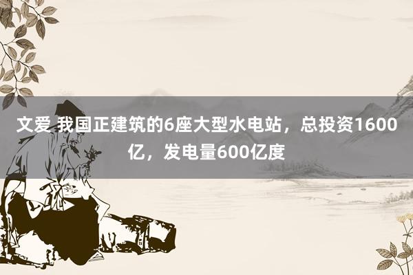 文爱 我国正建筑的6座大型水电站，总投资1600亿，发电量600亿度