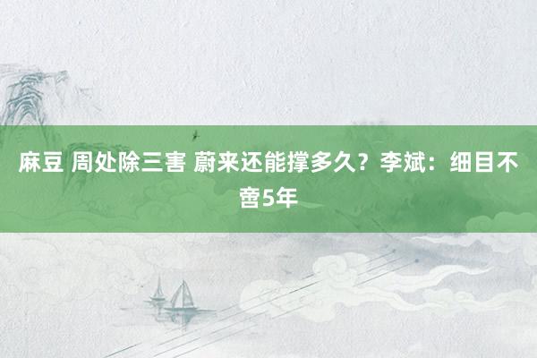 麻豆 周处除三害 蔚来还能撑多久？李斌：细目不啻5年