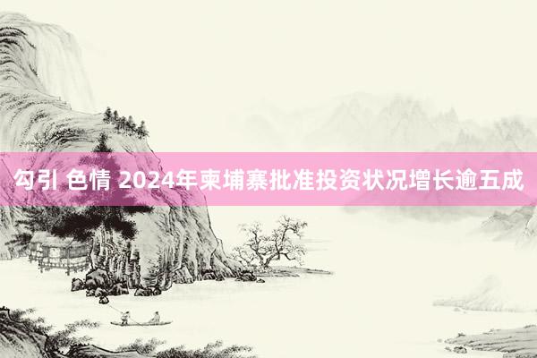 勾引 色情 2024年柬埔寨批准投资状况增长逾五成