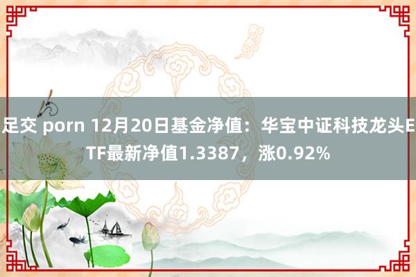 足交 porn 12月20日基金净值：华宝中证科技龙头ETF最新净值1.3387，涨0.92%