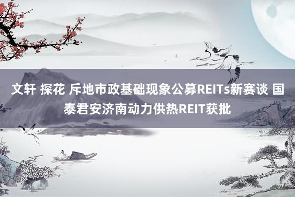 文轩 探花 斥地市政基础现象公募REITs新赛谈 国泰君安济南动力供热REIT获批