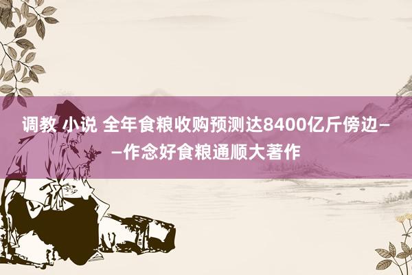 调教 小说 全年食粮收购预测达8400亿斤傍边——作念好食粮通顺大著作