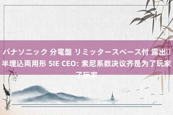 パナソニック 分電盤 リミッタースペース付 露出・半埋込両用形 SIE CEO: 索尼系数决议齐是为了玩家