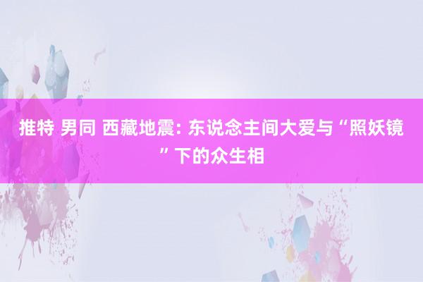 推特 男同 西藏地震: 东说念主间大爱与“照妖镜”下的众生相