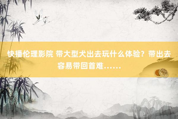 快播伦理影院 带大型犬出去玩什么体验？带出去容易带回首难……